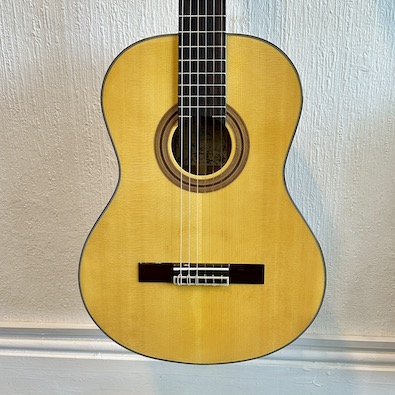 Aria Guitars